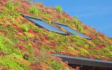St Pauls Walden living roof systems